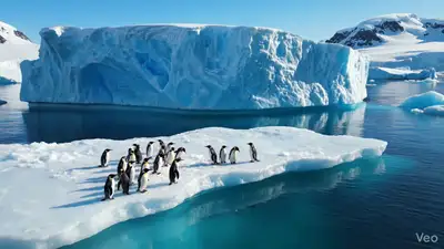 Antarctic Ice Shelf Drone Shot