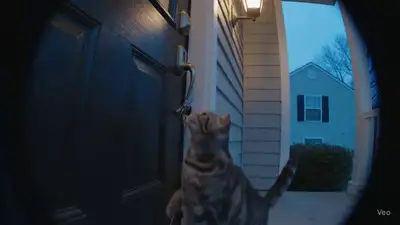 Cat Tries to Unlock Door with Keys (Ring Camera Style)