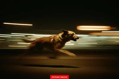 Scottish Deerhound Running at Night