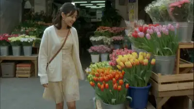MiniDV-Heimvideo vom Frühlingsblumenmarkt