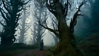 Lone Traveler in Fog-Laden Forest