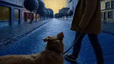 梵高《星月夜》狗狗散步第一视角