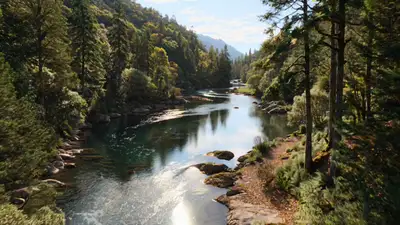 Aerial River Whirlpool in Forest