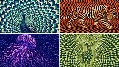 キネティック・オプアート錯視フィールド生成器