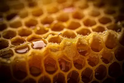 Extreme Macro Close Up Photography Prompt