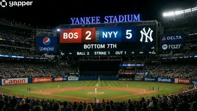Cinematic Cat Fan at Yankees Stadium