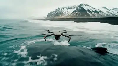 Prise de vue cinématique par drone au-dessus des phoques et des montagnes