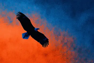 Silueta solarizada sobre un fondo de color de alto contraste