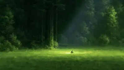 Continuous forest motorbike chase, one unbroken shot