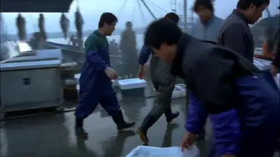 Fish market auction chaos - kinetic camcorder POV (15s)