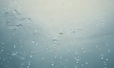 Macro Raindrop Ripples with 'Renew' Text