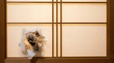 Cat beside a traditional shoji door illustration