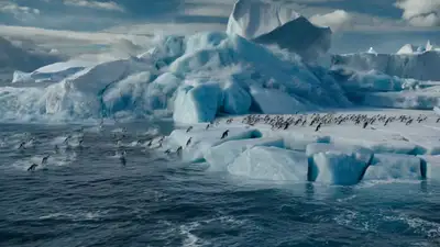 Penguin Escape on Breaking Arctic Ice