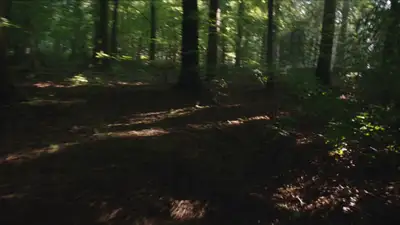 Ultra-Realistic Found Footage Cryptid Sighting