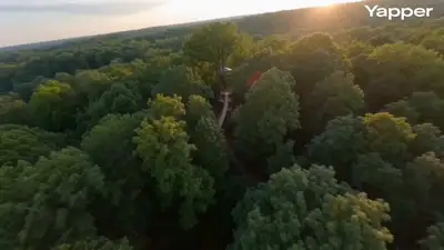 FPV Cinematic Treehouse Flythrough