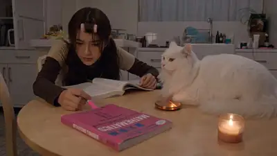 Exhausted student head-drop and startled cat prompt for Seedance 2.0