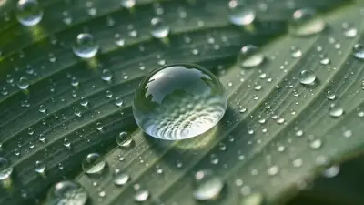 Cinematic Nature Reel Video Prompt