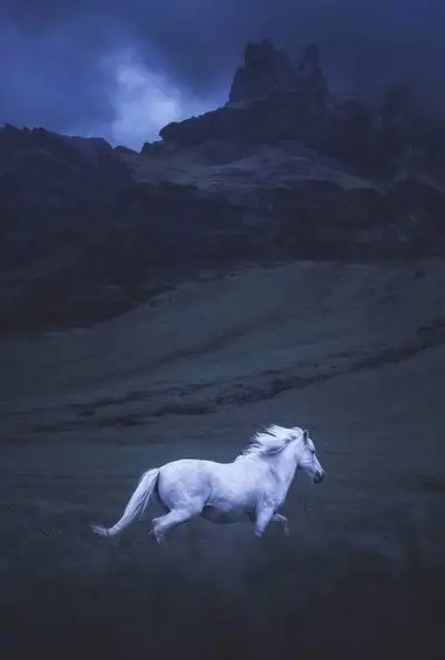 Misty Mountain Horse at Blue Hour