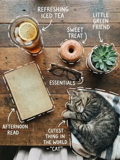 Cena flat lay aconchegante com chá gelado, donut e rabiscos de gato dormindo