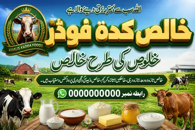 Khalis Kadda Foods dairy business flex banner design