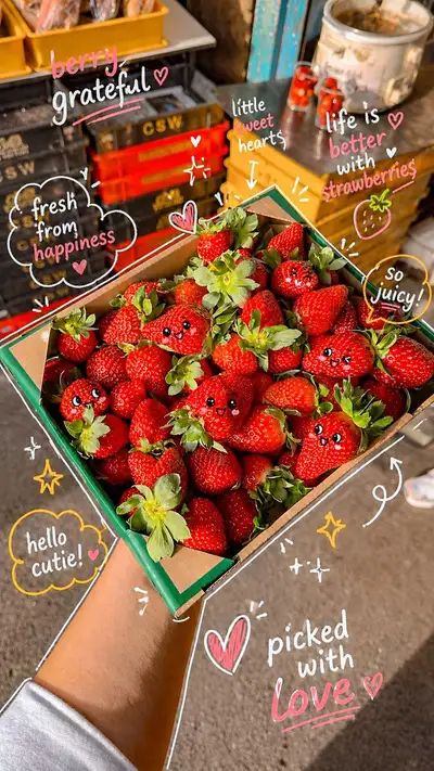 Kawaii-Kritzel-Erdbeerbox-Food-Fotografie