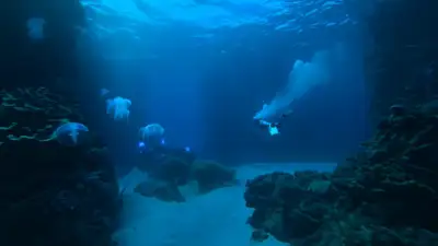 Abyssal Deep-Sea Diver Cinematic Prompt