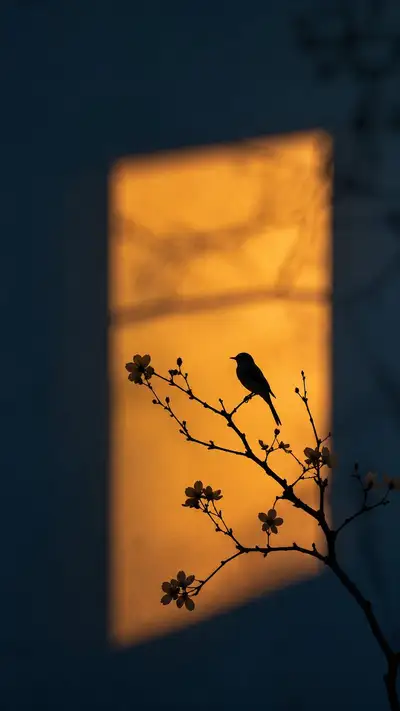 Amber Light Through a Window: Artistic Silhouette Photo