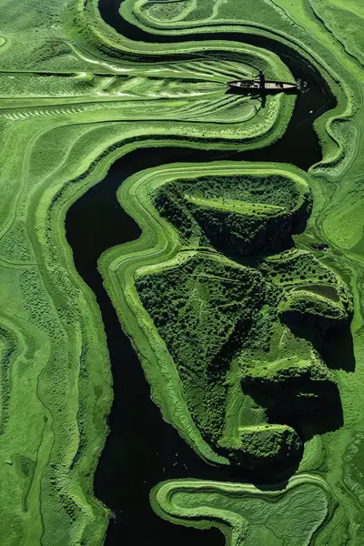 Person Rowing in Swirling Green Sea