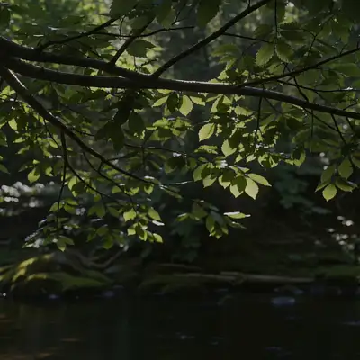 静かなアニメの川辺のシーン