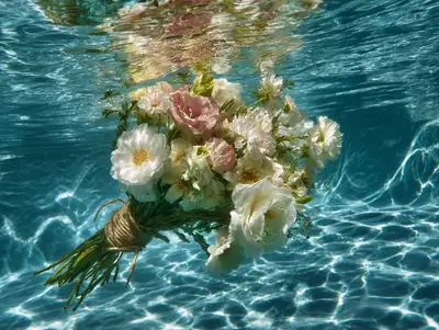 Estudio de prompts de fotografía submarina