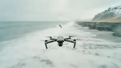 Plan de vol en drone avec passage au-dessus d'une baleine