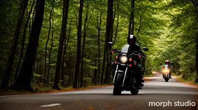 Motorcycle on a Windy Forest Road