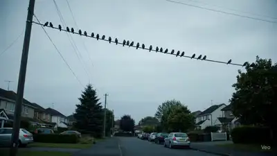 Veo3 Horror: Sparrows Morph into Monsters