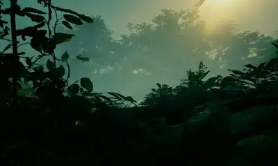 Jungle Interdimensional Portal POV