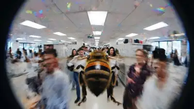 Bee POV High-Speed University Chase for Veo3
