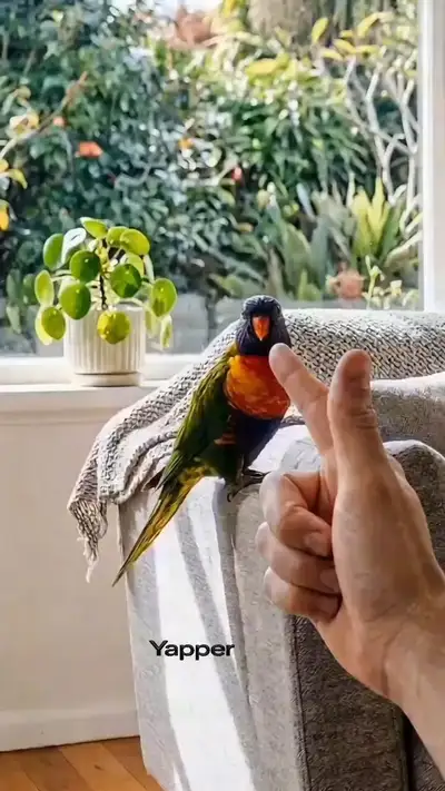 Rainbow Lorikeet Thumbs-Up Pet Video Prompt