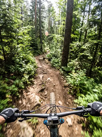 First-person mountain biking shot on a forest trail