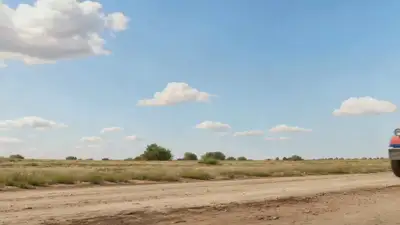 Cat Driving Truck Cinematic Humor Video Prompt