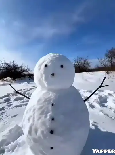 Chibi Girl Penguin Snowman Animation