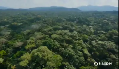 Insectoid Drone Jungle Chase Cinematic Video