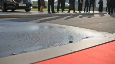 Cinematic Celebrity Red Carpet Entrance One-Shot