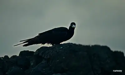 Cinematic Neon-Winged Black Bird on Rock