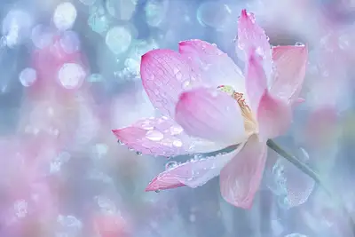 Dreamy Rainfall Bokeh Base Prompt