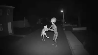 Nighttime CCTV Alien with Cat