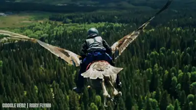 Golden Eagle Freefall Cinematic Shot