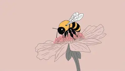 Naive Illustration Prompt Template