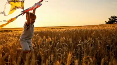 Phoenix Kite Child in Wheat Field