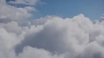 Animal Mecha Aerial Battle Anime Style