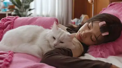 Girl wakes to a packed room and sleeping cat, 3-segment video