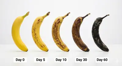 Banana Aging Stages Product Photo